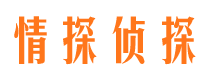 文山市私人侦探